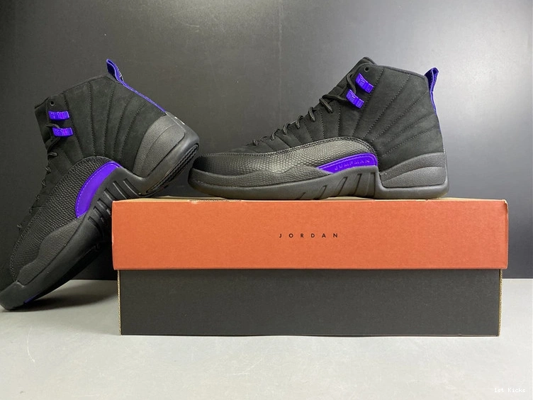 12 CT8013-005  Air Jordan Concord” “Dark 0208